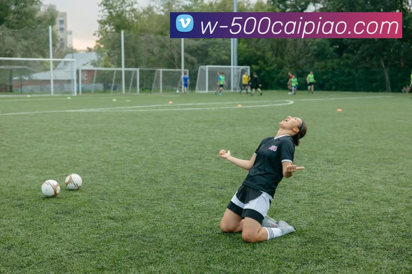 500彩票网官方发展历程